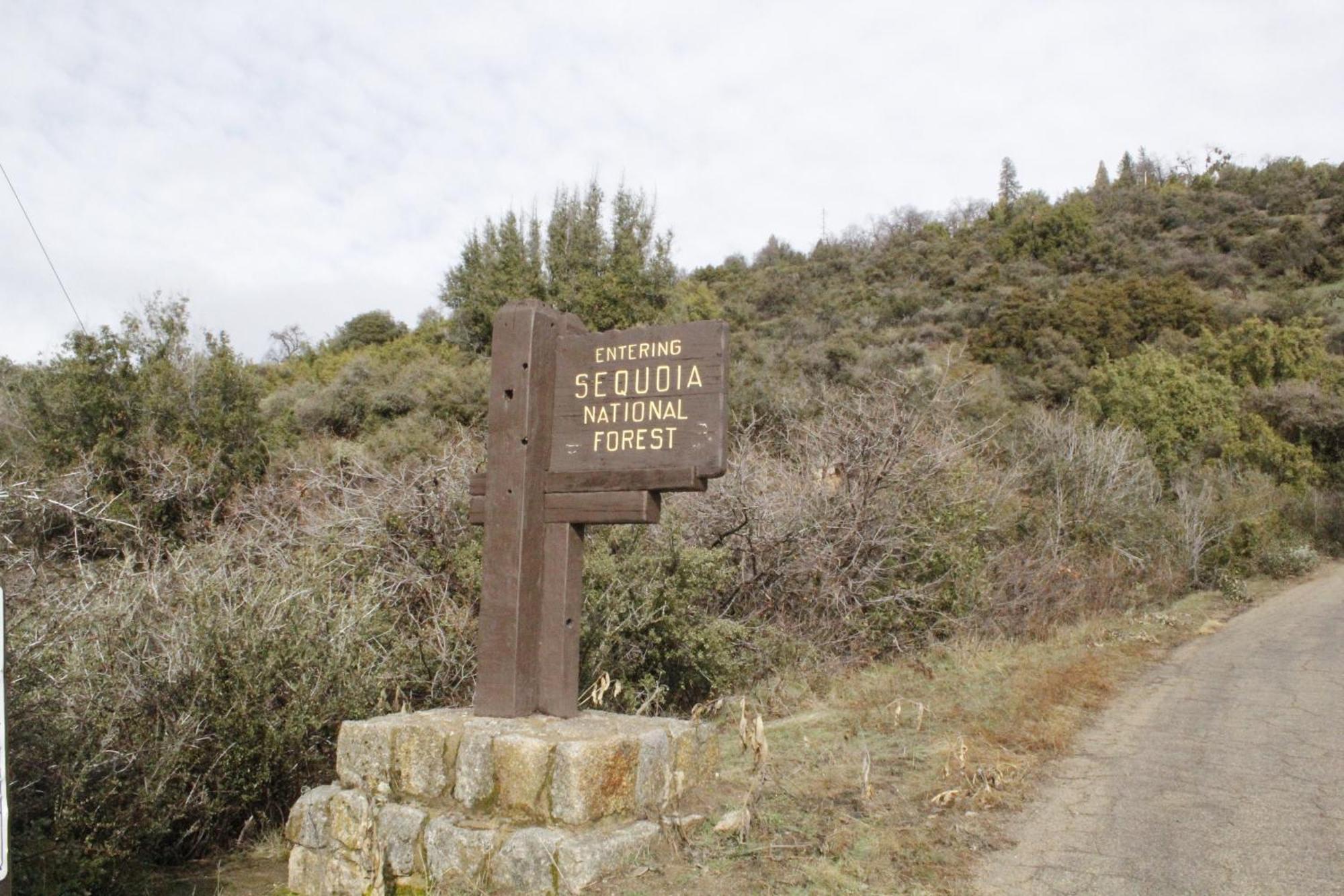 Hummingbird Hill - Entire Cabin Dunlap エクステリア 写真